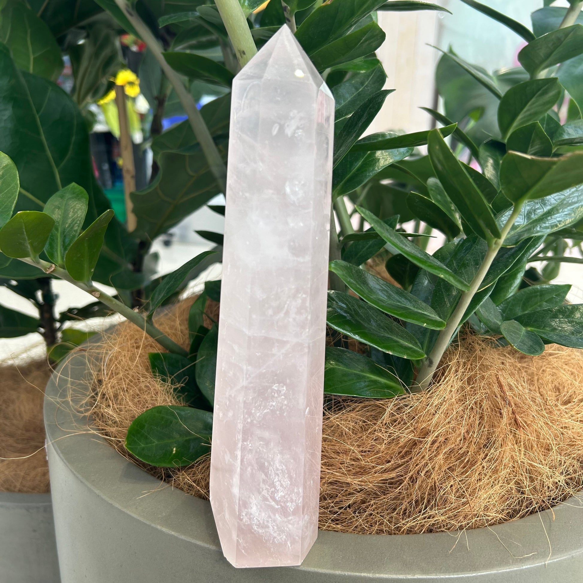 Rose Quartz Point - Rivendell Shop