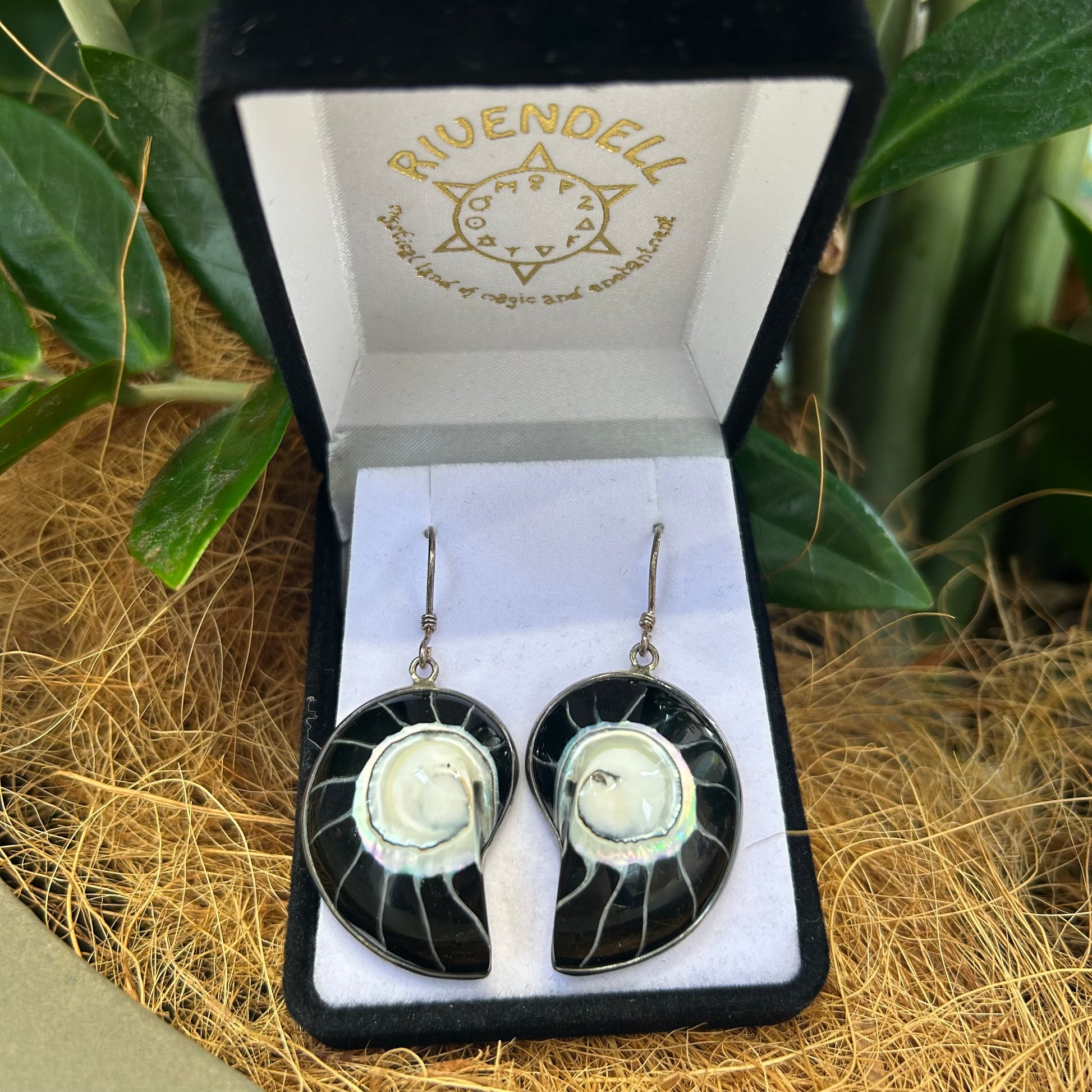 Black Shell Earrings - Rivendell Shop