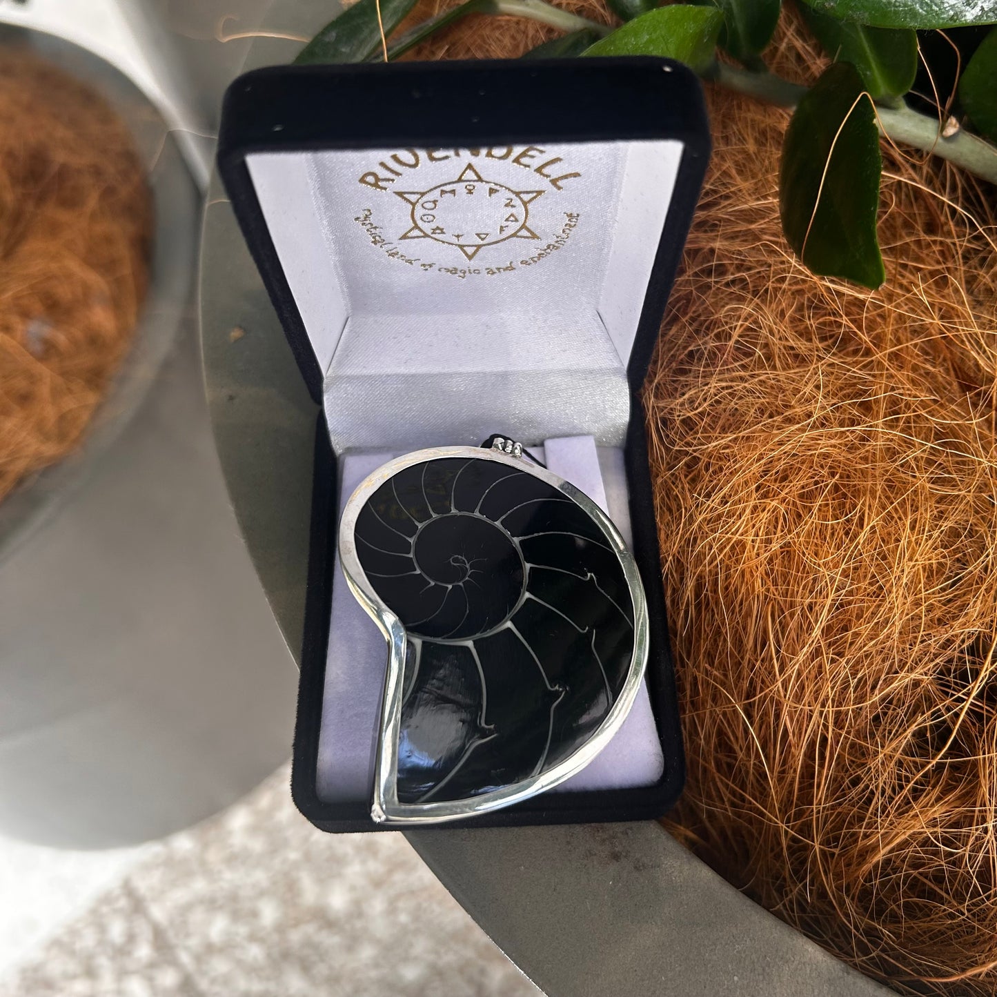 Black Shell Pendant - Rivendell Shop