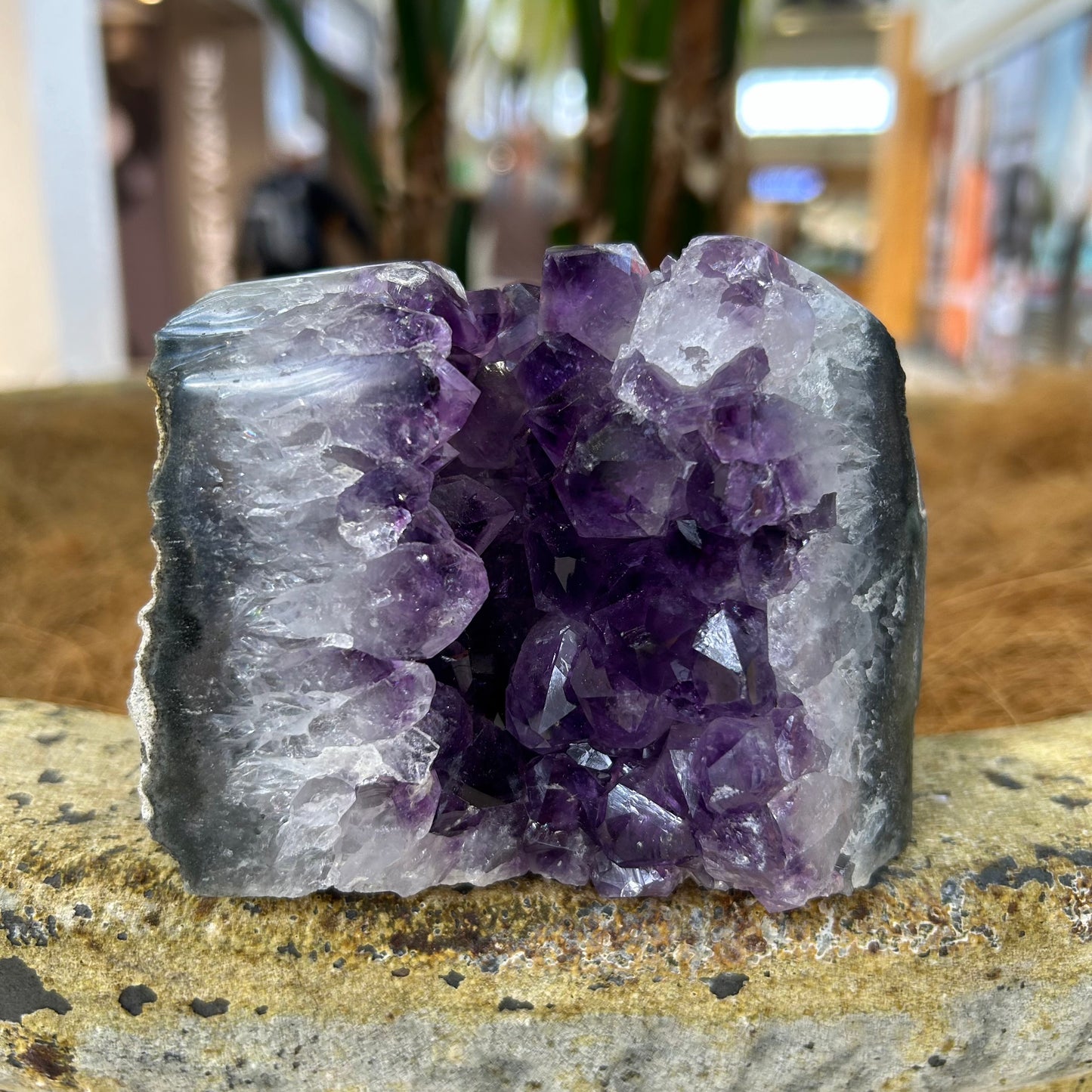 Amethyst Crystal Standing