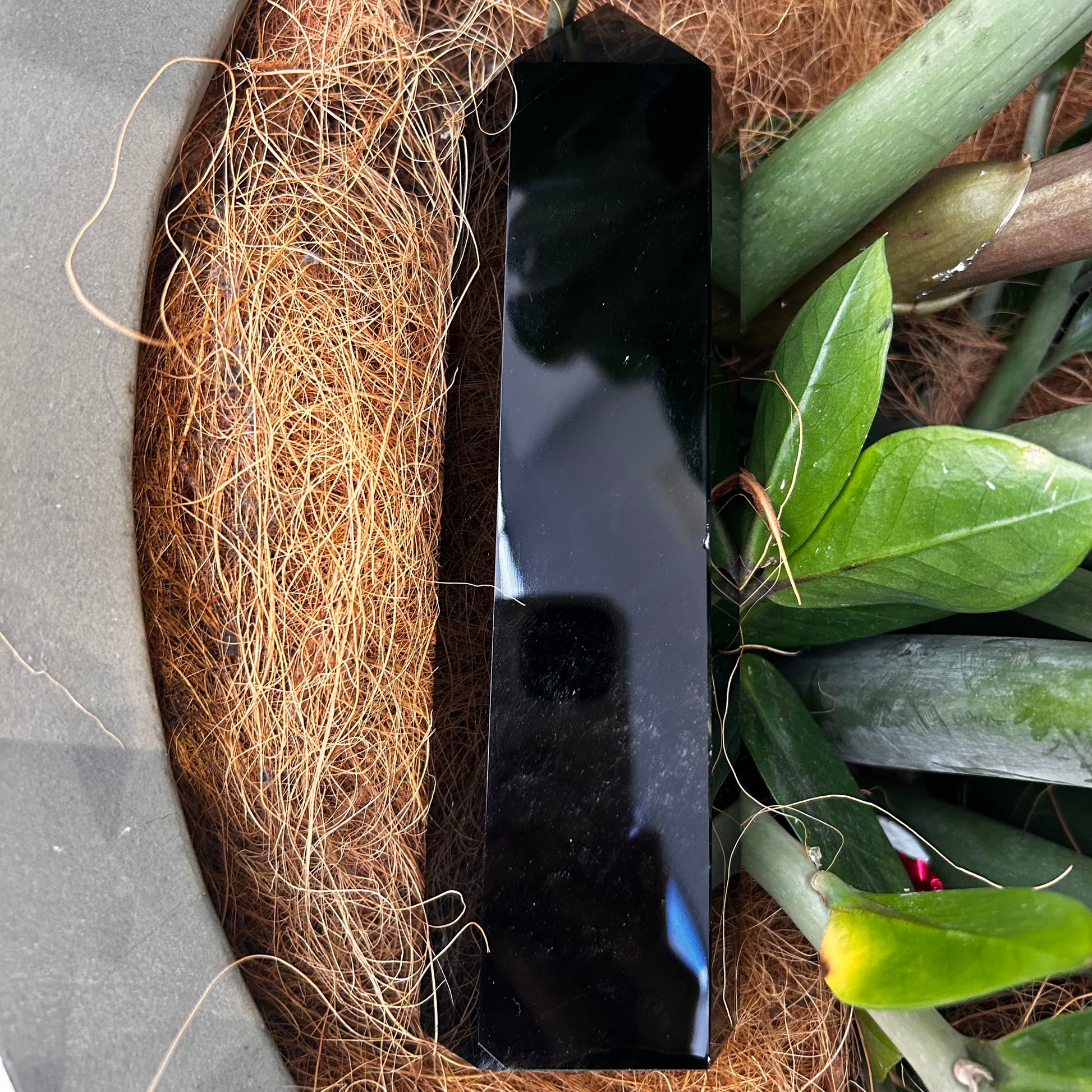 Black Obsidian Point - Rivendell Shop