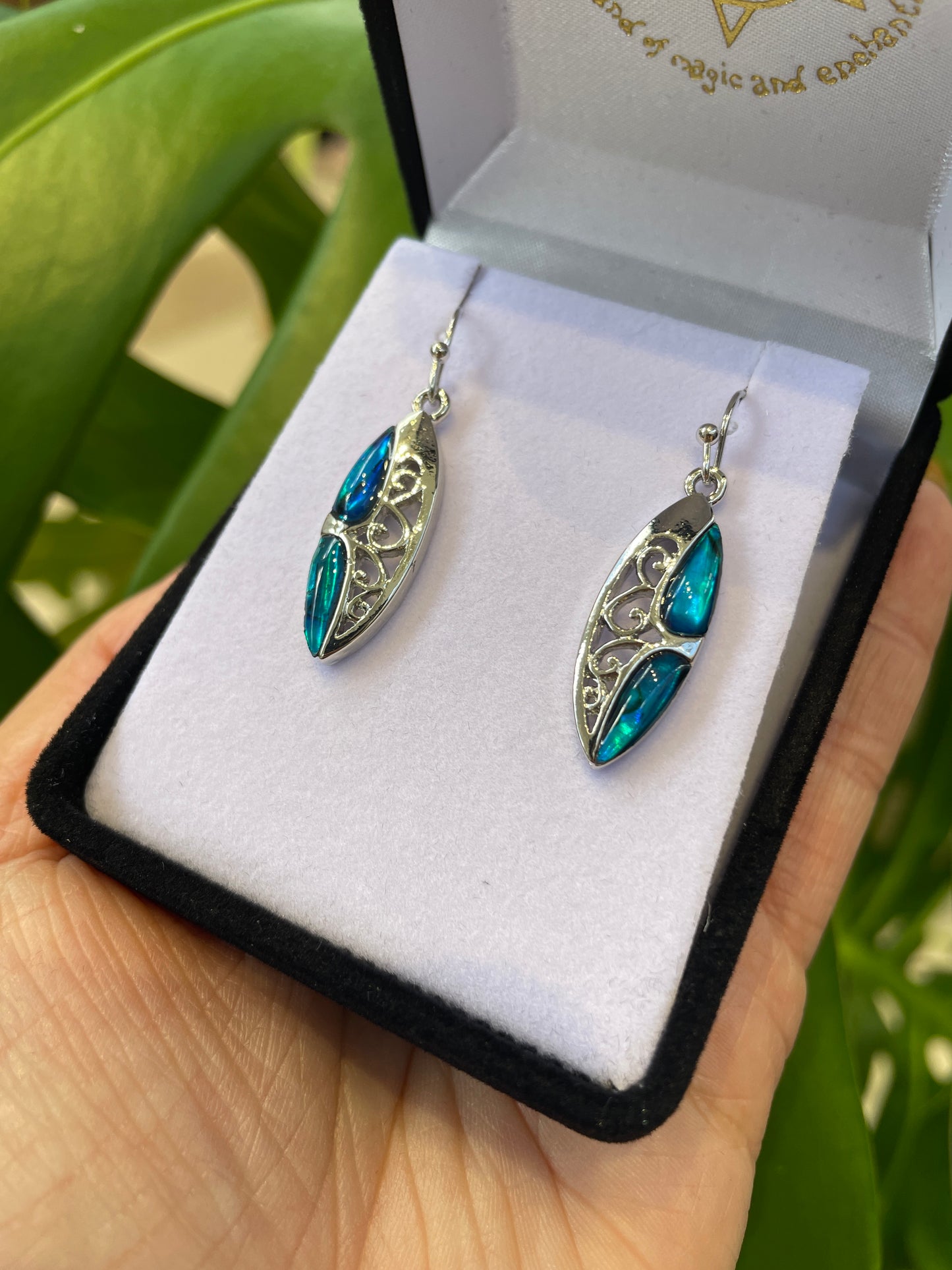 Paua Earrings - Rivendell Shop