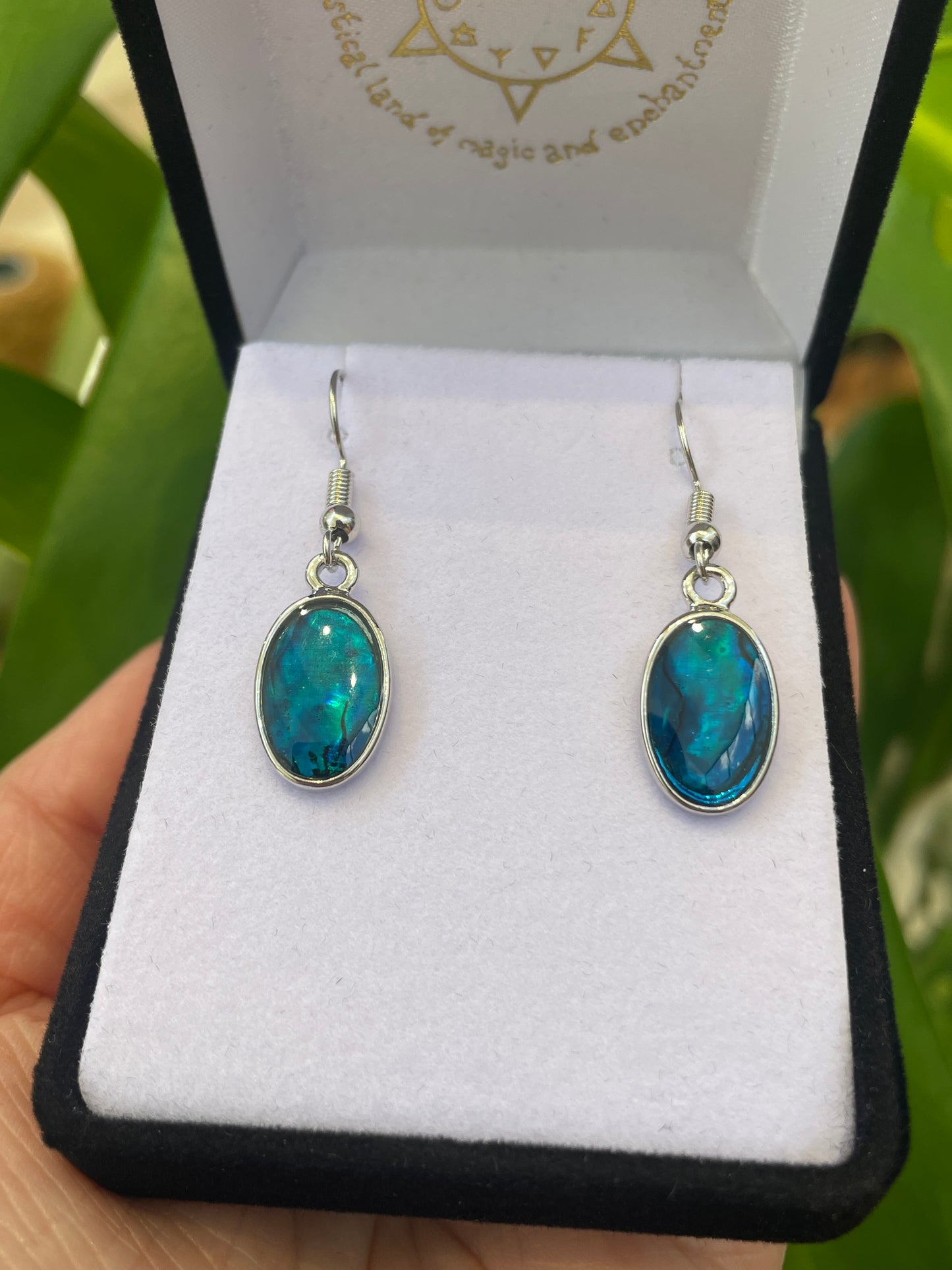 Paua Earrings - Oval - Rivendell Shop