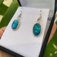 Paua Earrings - Oval - Rivendell Shop