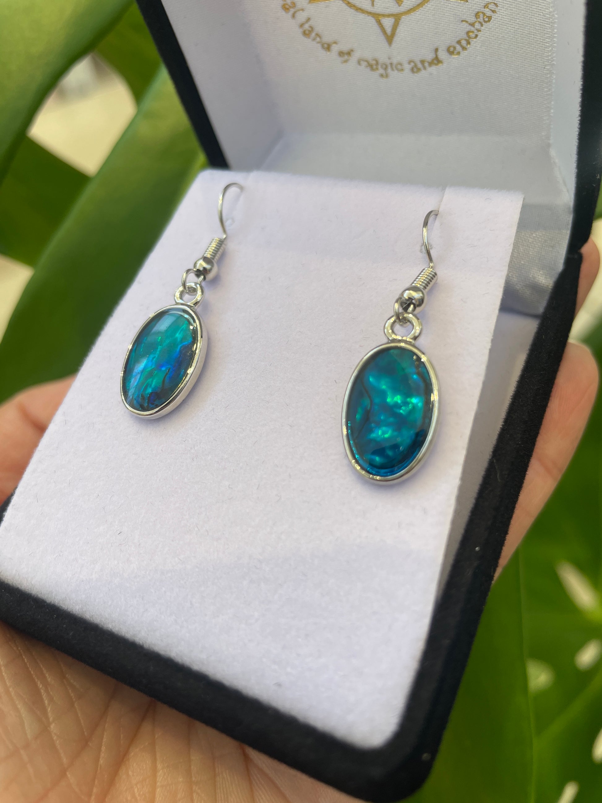 Paua Earrings - Oval - Rivendell Shop