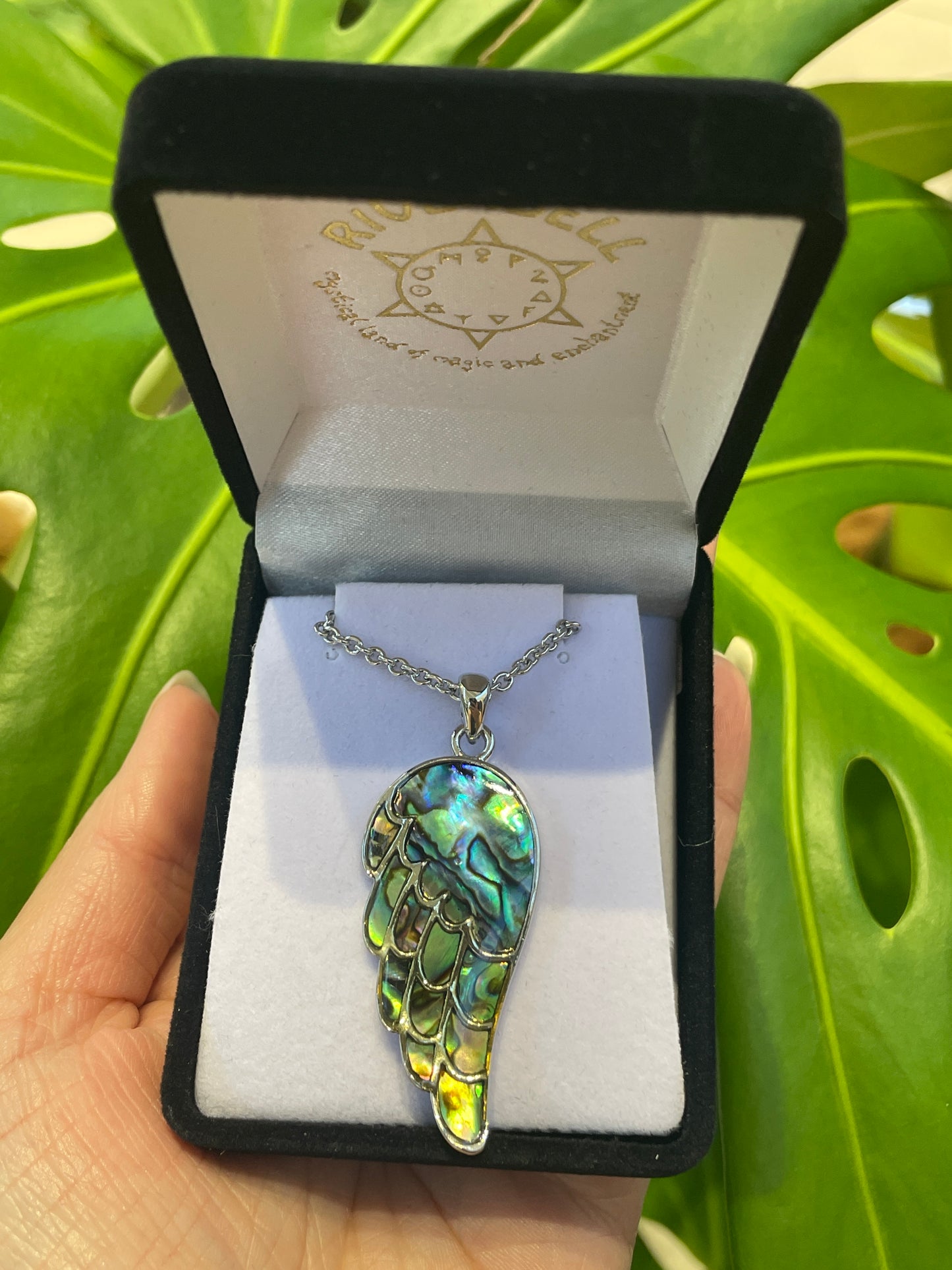 Paua Pendant - Angel Wing