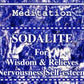 Sodalite bracelet - Rivendell Shop