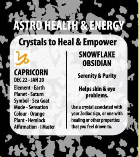 Snowflake obsidian zodiac pendant - Rivendell Shop