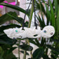 Handcarved Bone Chest Plate Pendant - Tiki - Rivendell Shop