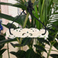 Handcarved Bone Chest Plate Pendant - Manaia - Rivendell Shop