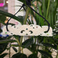 Handcarved Bone Chest Plate Pendant - Manaia - Rivendell Shop