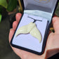 Bone Whale Tail Pendant - Rivendell Shop