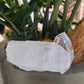 Clear Quartz Cluster - Rivendell Shop