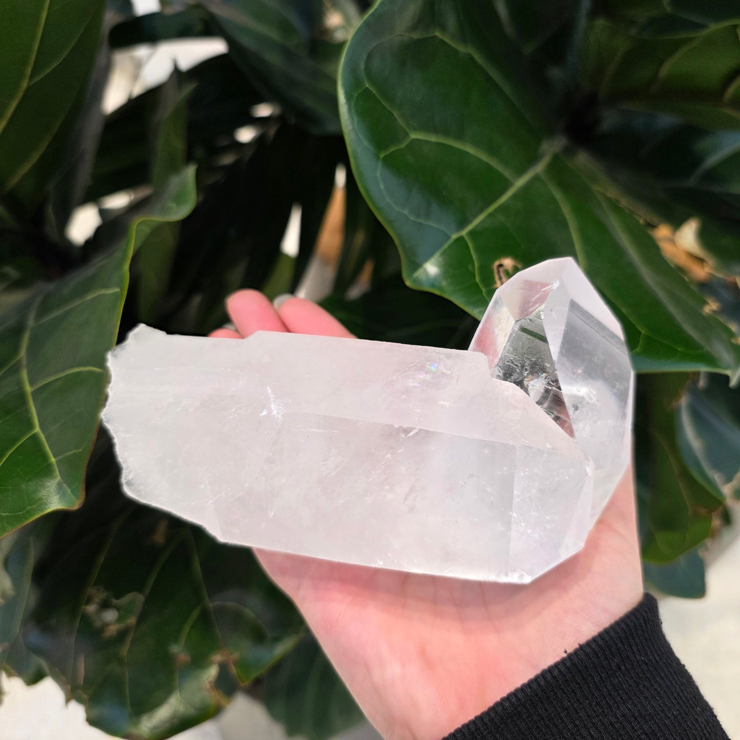 Clear Quartz Cluster