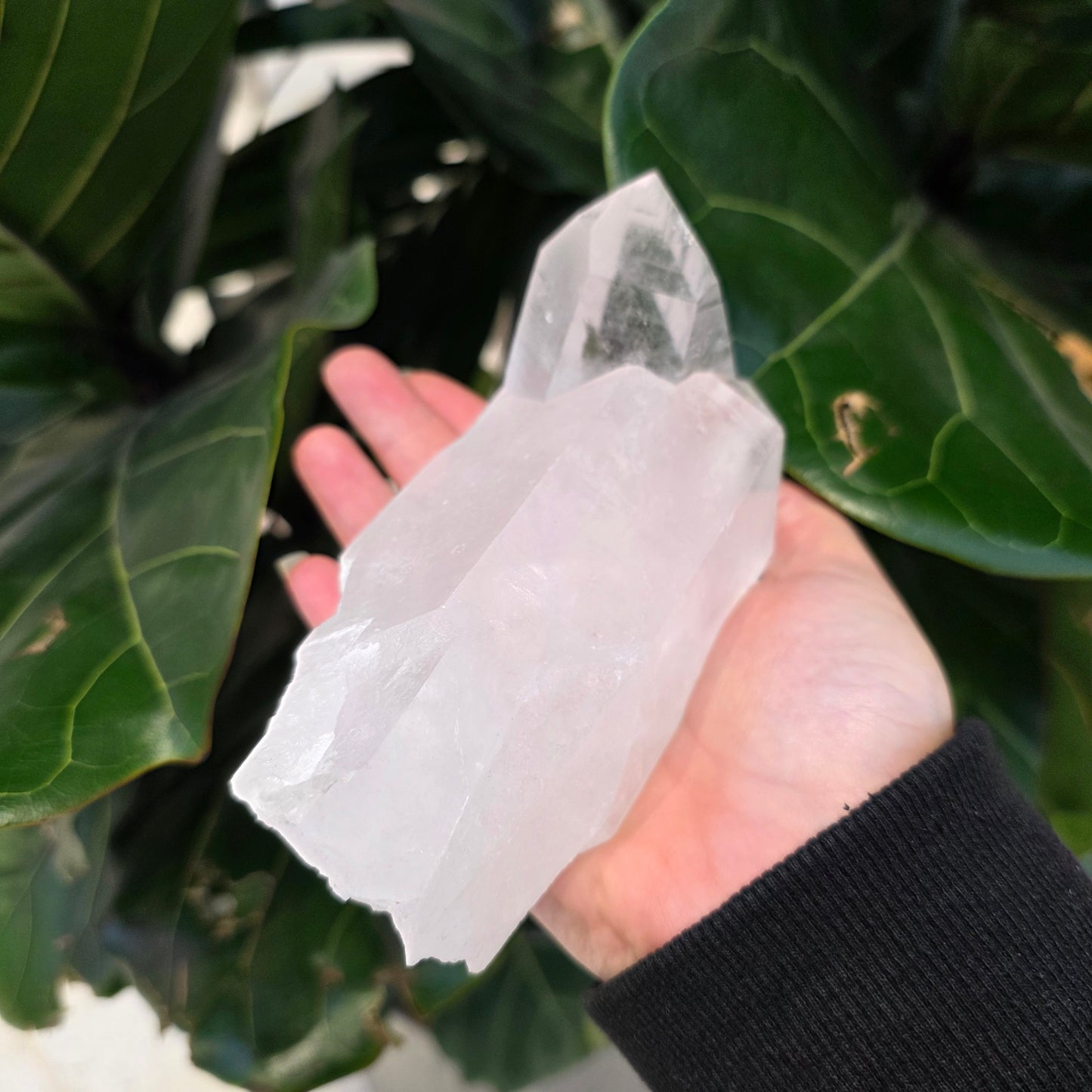 Clear Quartz Cluster