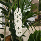 Handcarved Bone Pendant - Large Manaia - Rivendell Shop