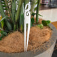 Handcarved Bone 2 Prong Heru (Comb) - Manaia - Rivendell Shop
