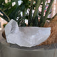 Clear Quartz Cluster - Rivendell Shop