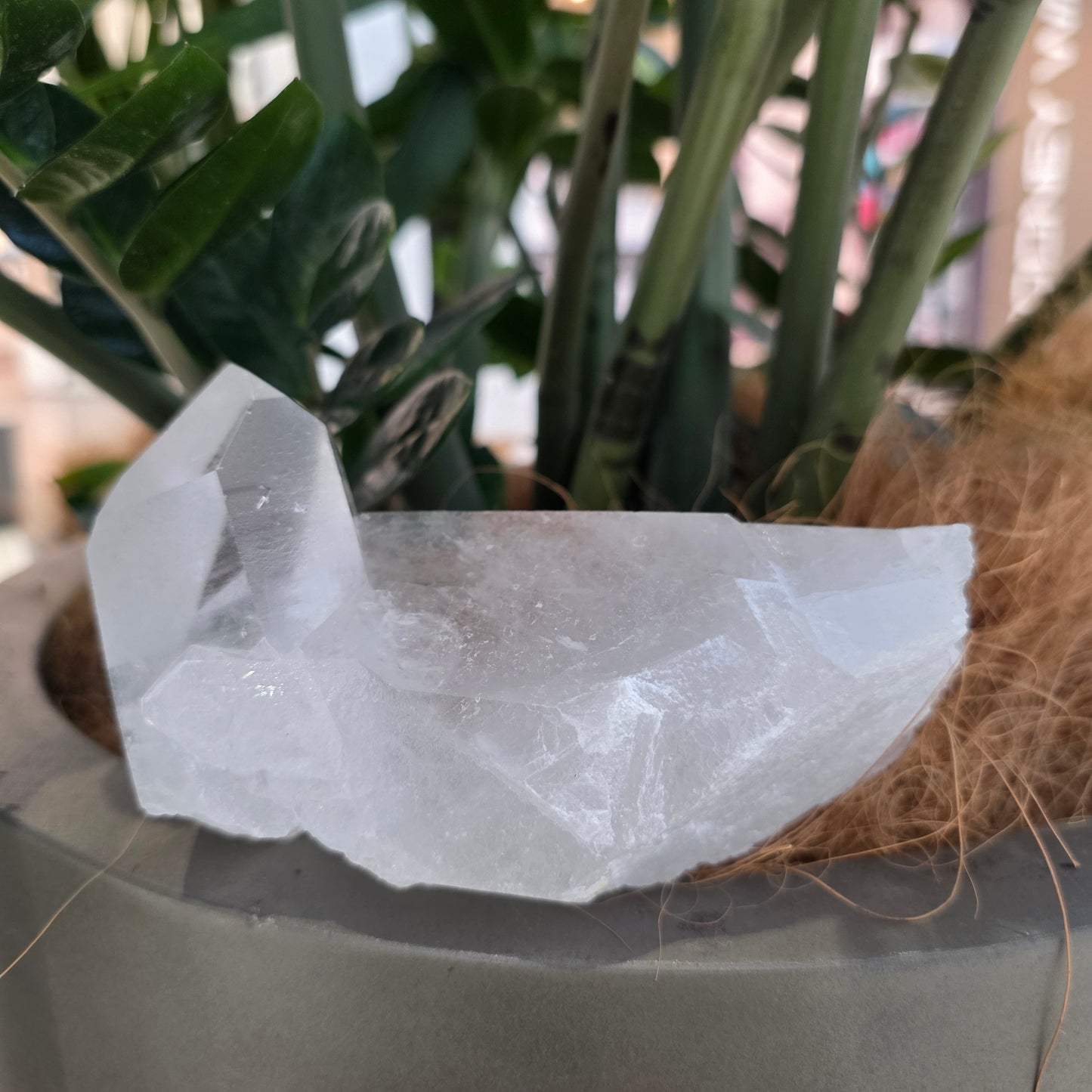Clear Quartz Cluster