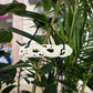 Handcarved Bone Chest Plate Pendant - Manaia - Rivendell Shop