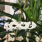 Handcarved Bone Chest Plate Pendant - Manaia - Rivendell Shop