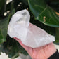 Clear Quartz Cluster - Rivendell Shop