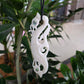 Handcarved Bone Pendant - Large Manaia - Rivendell Shop