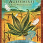 Four Agreements Toltec Wisdom Collection - Rivendell Shop