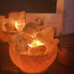 Carved Himalayan Salt Lamp Bowl - Rivendell Shop
