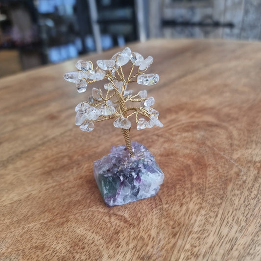 Clear quartz crystal tree on fluorite base - Rivendell Shop