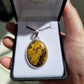 Petrified wood pendant - Rivendell Shop
