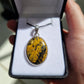 Petrified wood pendant - Rivendell Shop