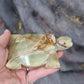 Banded calcite turtles - Rivendell Shop