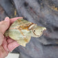 Banded calcite turtles - Rivendell Shop