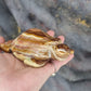 Banded calcite turtles - Rivendell Shop