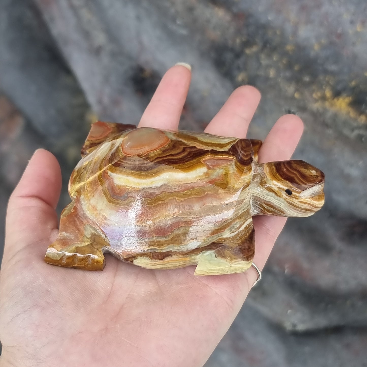Banded calcite turtles - Rivendell Shop