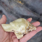 Banded calcite turtles - Rivendell Shop