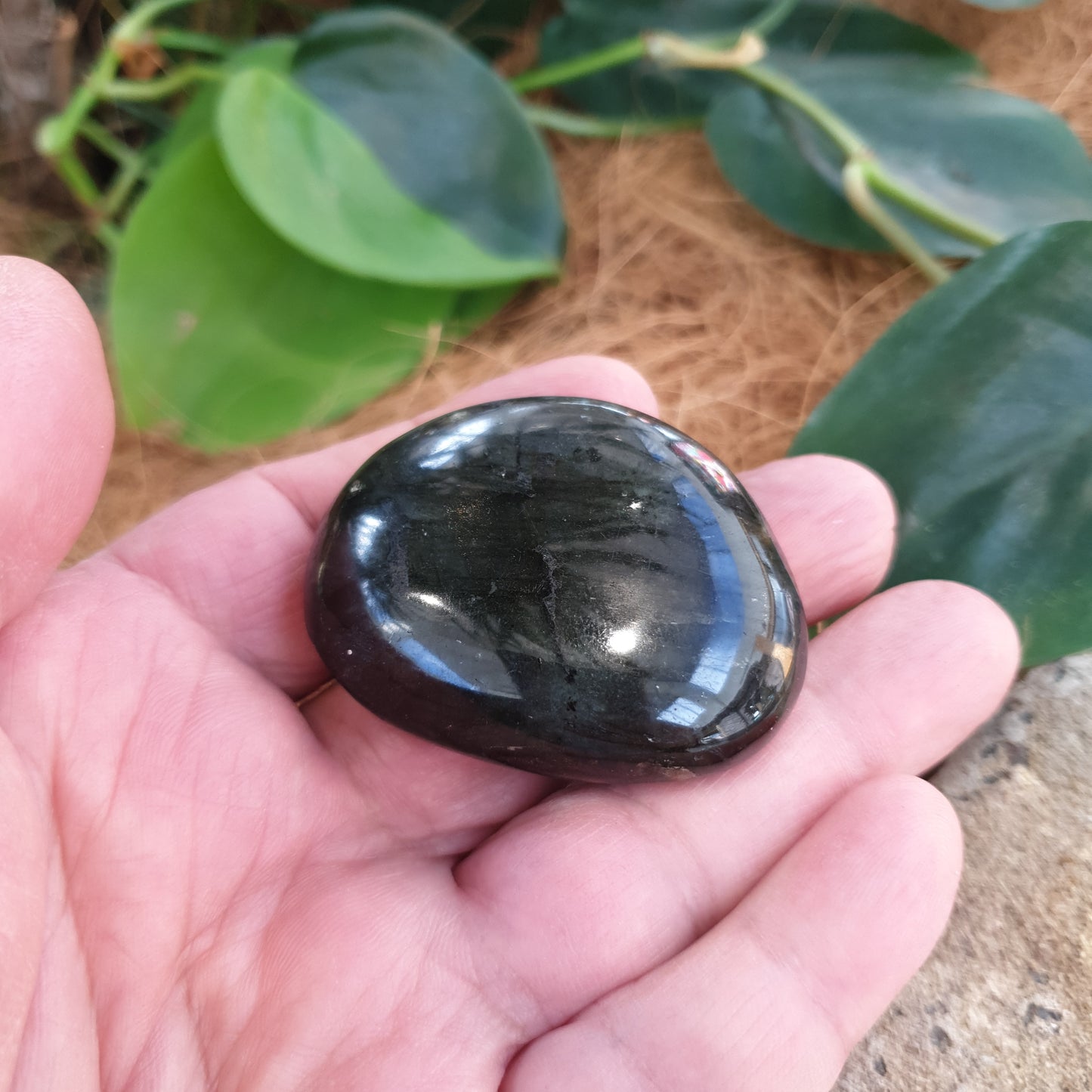 Labradorite Crystal (4-5cm) - Rivendell Shop