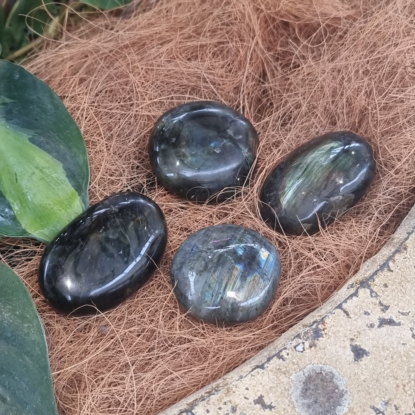 Labradorite palmstone - Rivendell Shop