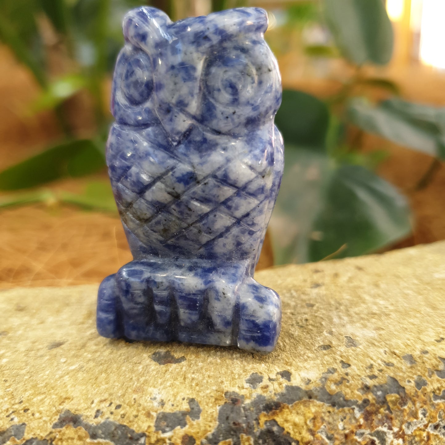 Sodalite Owl - Rivendell Shop