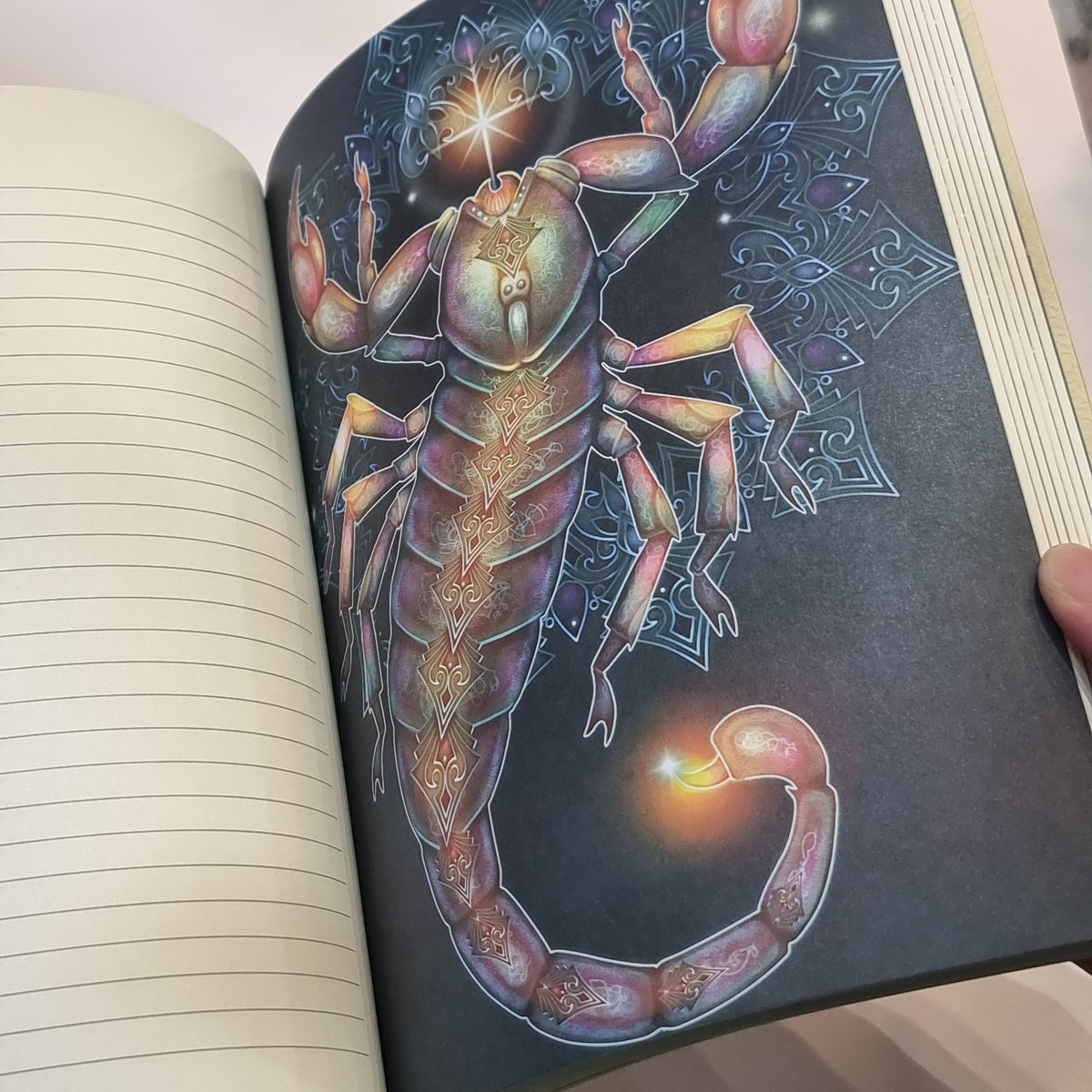 Seeker Writing Seekers tale writing journal – Rivendell Shop