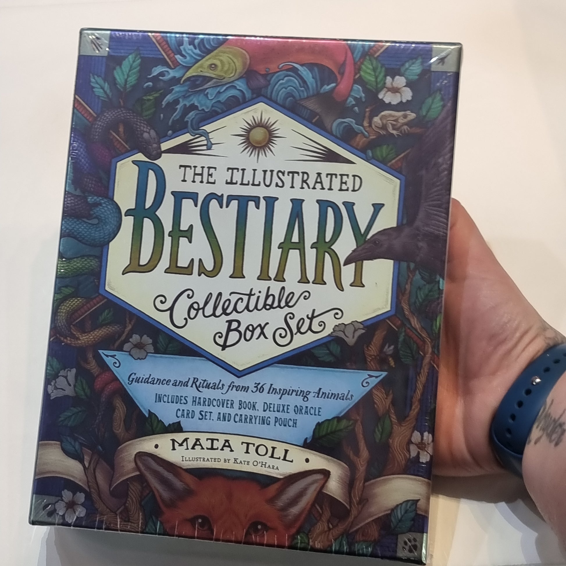 The illustrated bestiary collectible box set - Rivendell Shop