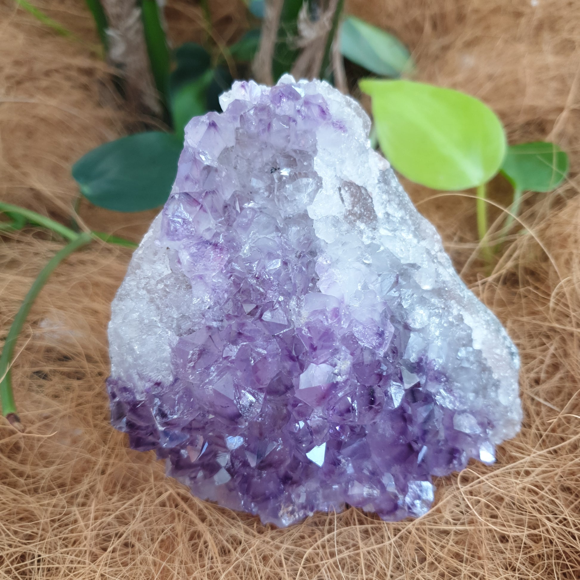 Standing amethyst - Rivendell Shop