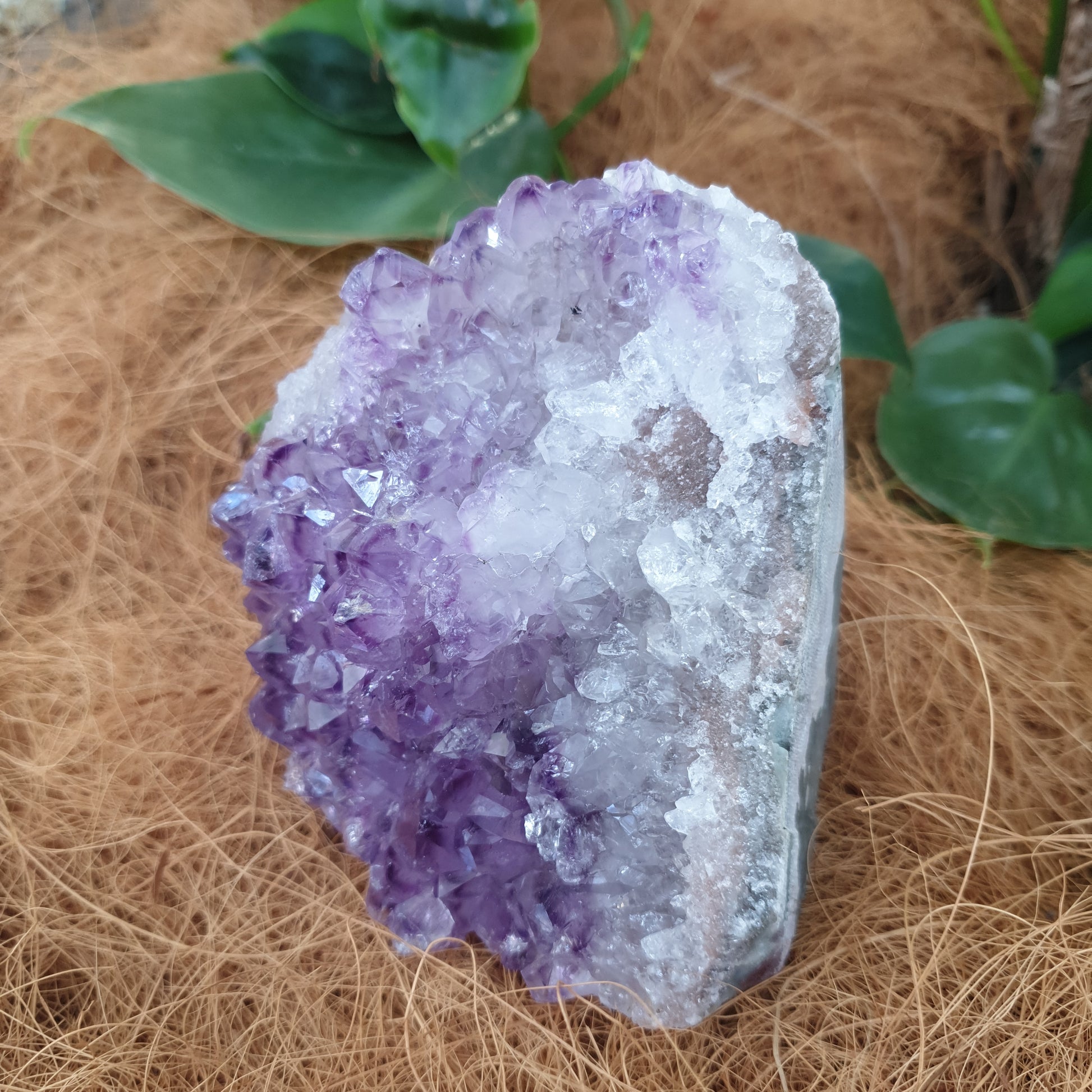 Standing amethyst - Rivendell Shop