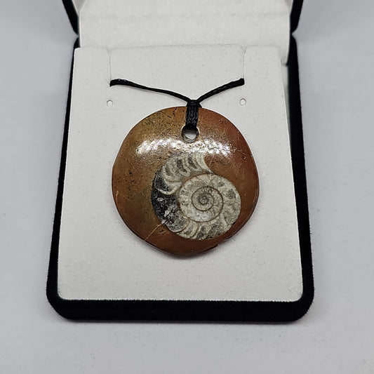 Ammonite fossil pendant - small - Rivendell Shop