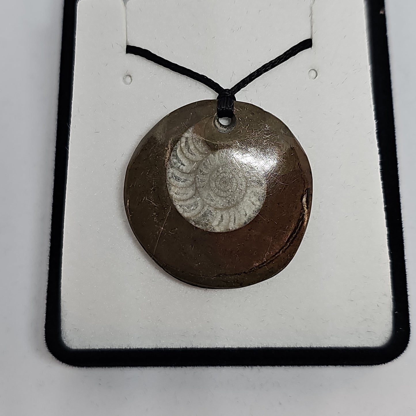 Ammonite fossil pendant - small - Rivendell Shop