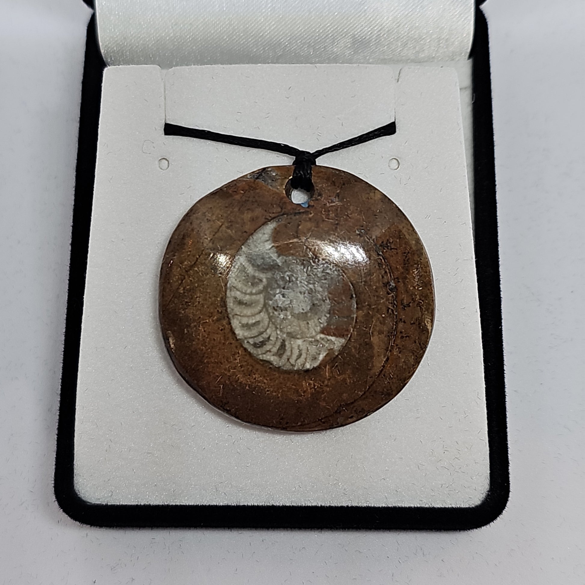 Ammonite fossil pendant - medium - Rivendell Shop