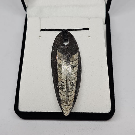 Orthoceras fossil pendant - small - Rivendell Shop