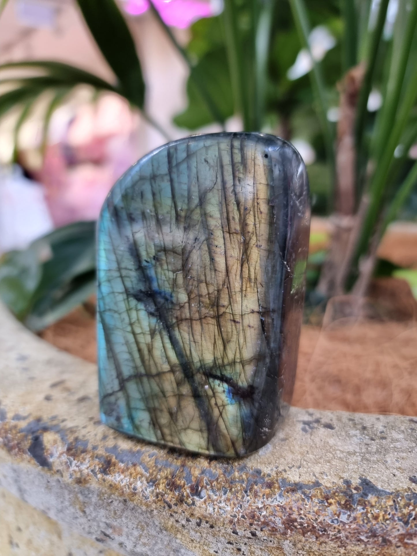 Labradorite freeform - Rivendell Shop