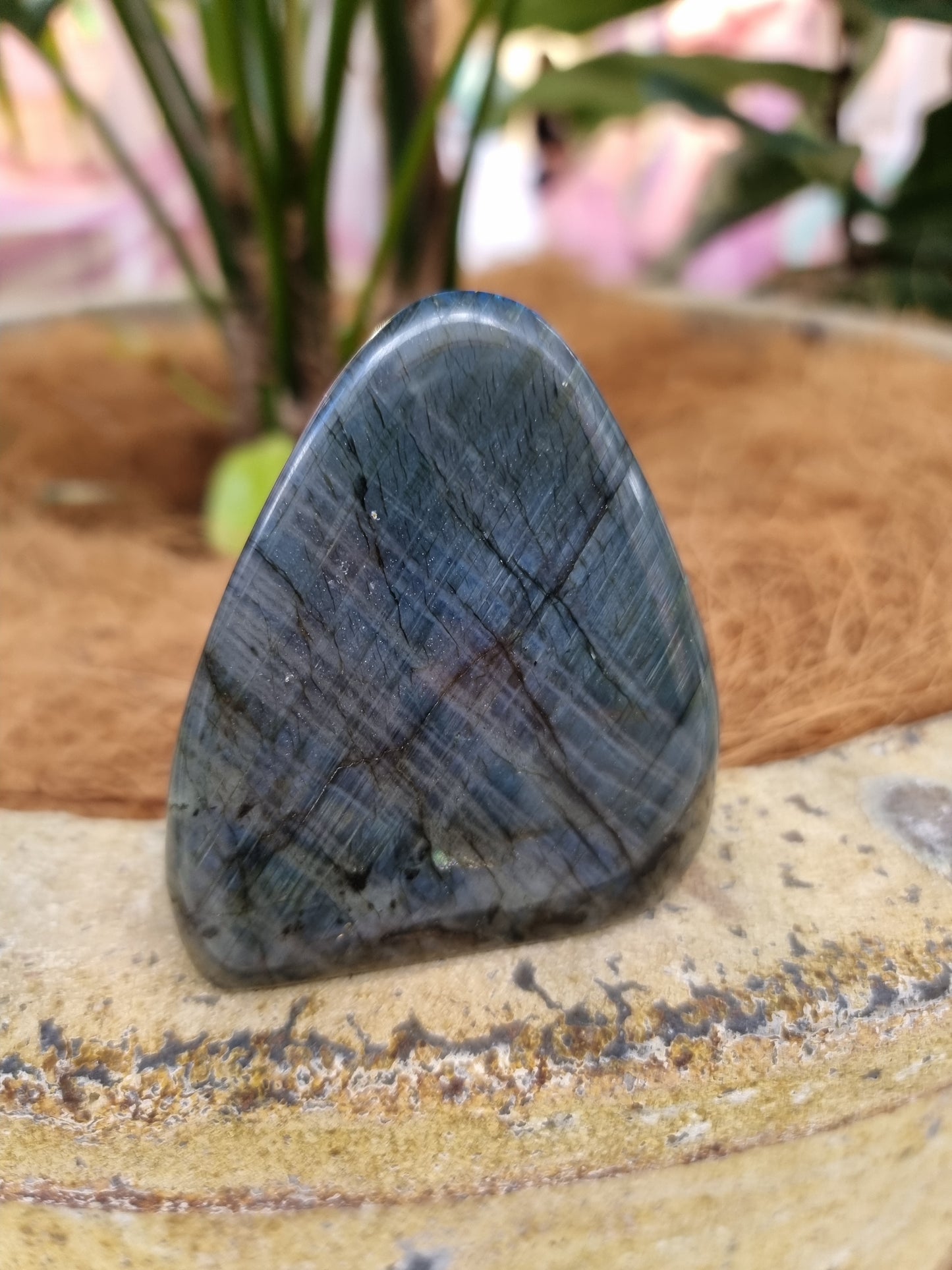 Labradorite freeform - Rivendell Shop